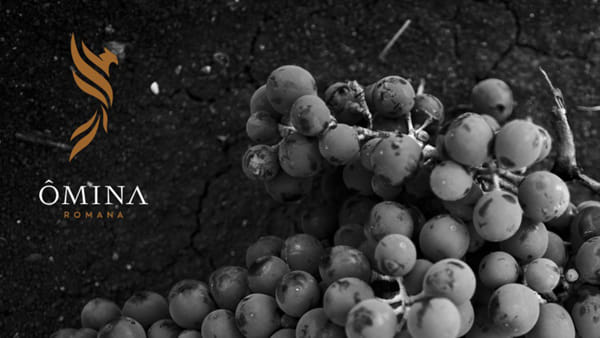 Villa Selvatico presenta la cantina Ômina Romana